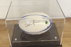 Acrylic rugby ball display case