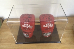 Acrylic Boxing Glove display case