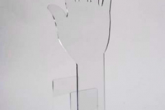 Acrylic Hand display