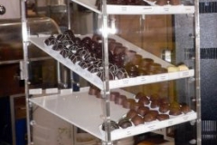 display-cases-(14)