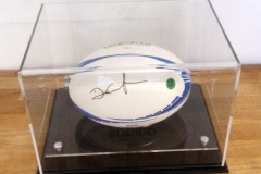 display-cases-(4)
