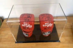 Acrylic display case with boxing gloves